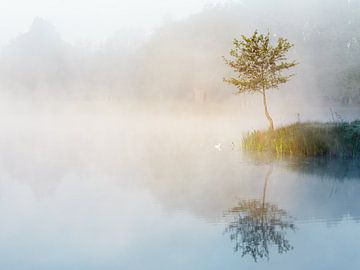 's Ochtends vroeg bij Kasteren von Jan Kooreman