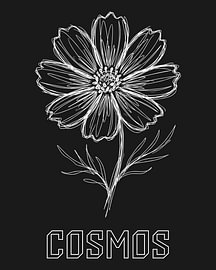 Minimalistisches Kosmos-Blumen-Strichbild-Poster – Black Edition von moveit store