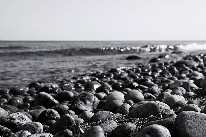Stony coast by Frank Herrmann
