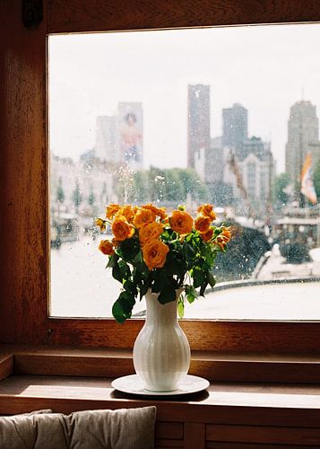 Quiet Life - Rotterdams Skyline von einem Hausboot aus