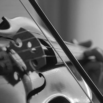 close-up van viool in zwart wit - violin in black and white van Bianca Muntinga