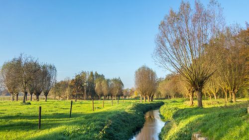 Limburgs landschap