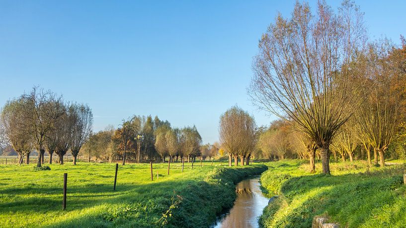 Limburgs landschap van Hilda Weges