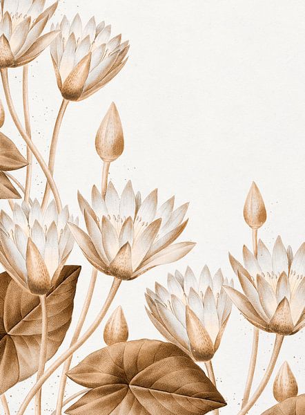 Lotus - Flowers van Gisela- Art for You