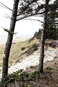 Coast of Denmark by Jasmijn Visser