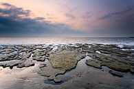 Formulaires sur la mer des Wadden par Ron ter Burg Aperçu