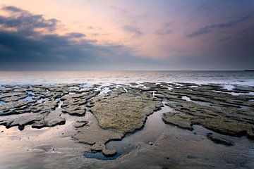 Formulaires sur la mer des Wadden