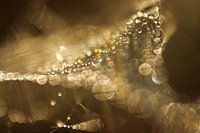 Goldenes Bokeh