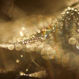 Golden bokeh van Nienke Castelijns
