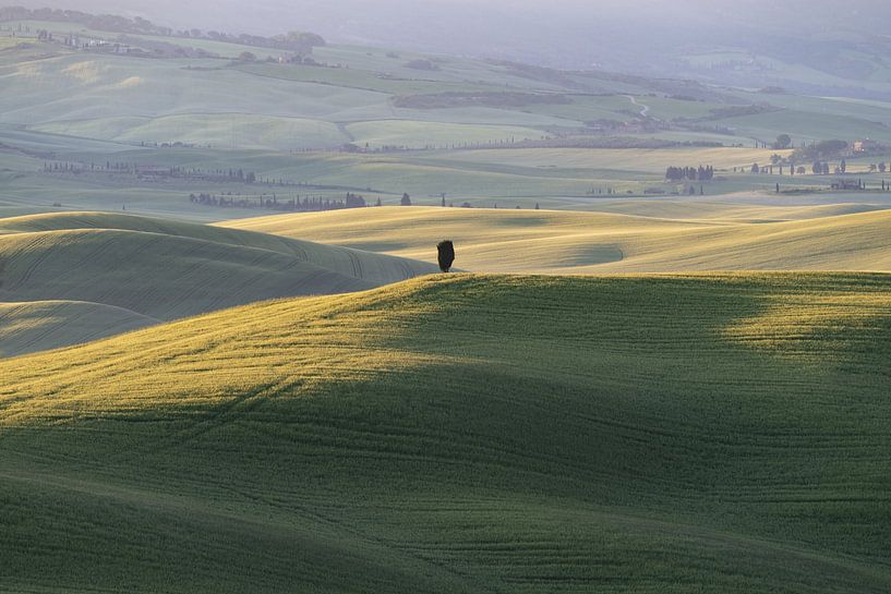 Sunrise, near Pienza, Val d&#039;Orcia by Walter G. Allgöwer