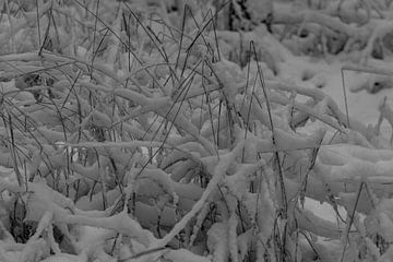 Winter Landschaften von Johnny Flash