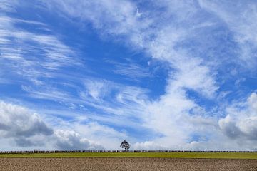 wolkenlandschap met boom van Hans Vos Fotografie