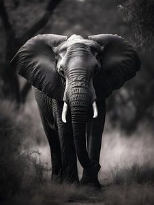 Elefant in der Savanne V1