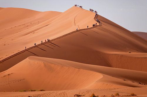 Sossusvlei Duinen, Namibië