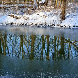 Winter reflection by Frank's Awesome Travels