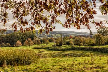 Limburgs landschap in herfstkleuren