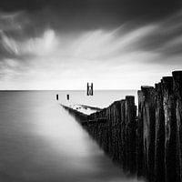 Into the sea