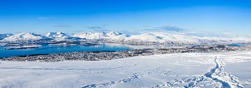 Panorama Tromsö von Richard Driessen