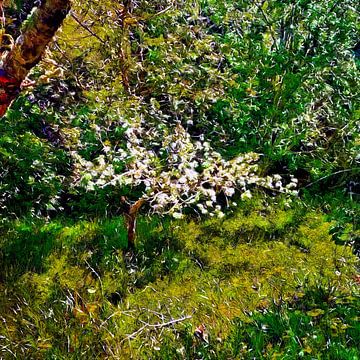 Apfelbaum im Wald versteckt