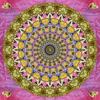 Trauben Mandala