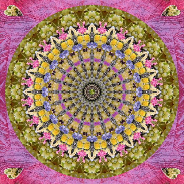 Trauben Mandala by Dieter Ettingshaus