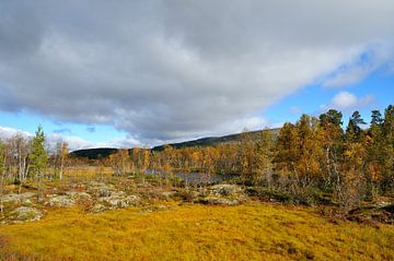 Sonfjället Nationaal Park van Karin Jähne