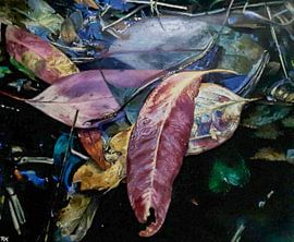 Autum silky leaves