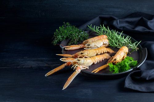 Fresh scampi, also called Norway Lobster or langoustine, with herbs on a plate on a dark blue wooden