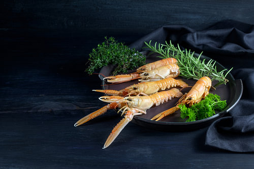 Frische Scampi, auch Kaisergranat oder Languste genannt, mit Kräutern auf einem Teller auf dunkelbla