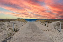 Path to the beach on the Baltic Sea, Usedom Island by Animaflora PicsStock
