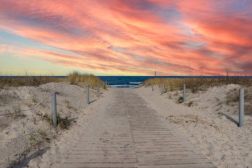 Path to the beach on the Baltic Sea, Usedom Island by Animaflora PicsStock