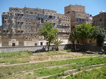 Sana'a - Moestuin in de Oude Stad