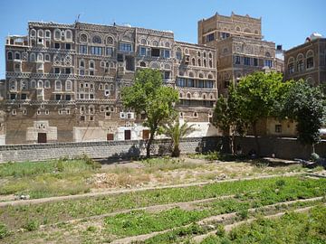 Sana'a - Moestuin in de Oude Stad by Sarah Rijziger