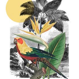 a Tropical Collage sur Marja van den Hurk