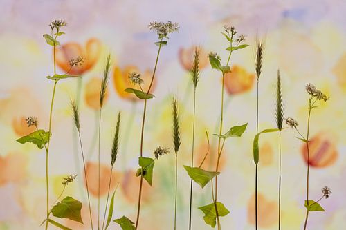 Brise d'été - image atmosphérique de la flore et des herbes sauvages sur Brigitte van Krimpen