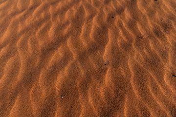 Woestijn Namibië - Sossusvlei - Afrika Landschap sur Judith Adriaansen
