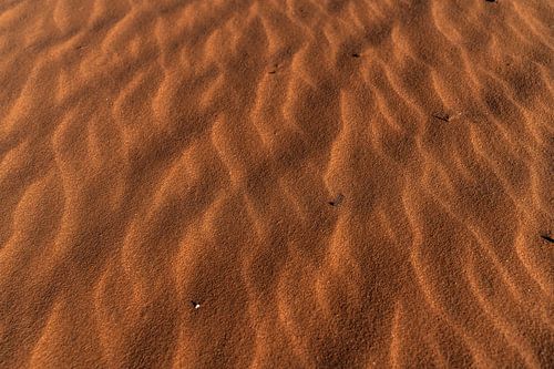 Woestijn Namibië - Sossusvlei - Afrika Landschap