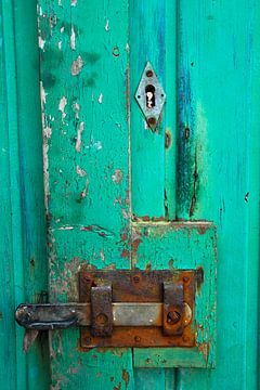 alte grüne Tür von Oranje Tulp