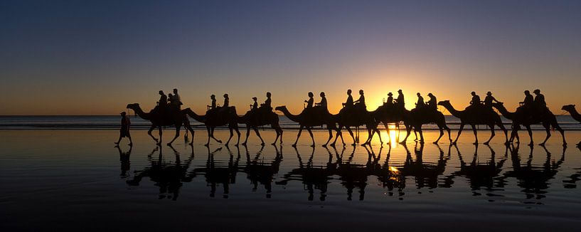 Panorama Chameaux avec coucher de soleil par Roel Dijkstra