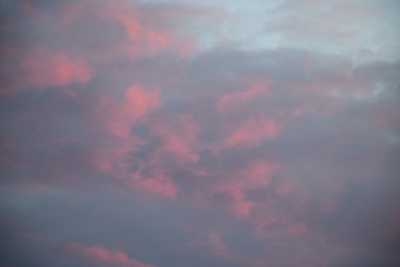 Vanillehimmel von Ingrid de Vos - Boom