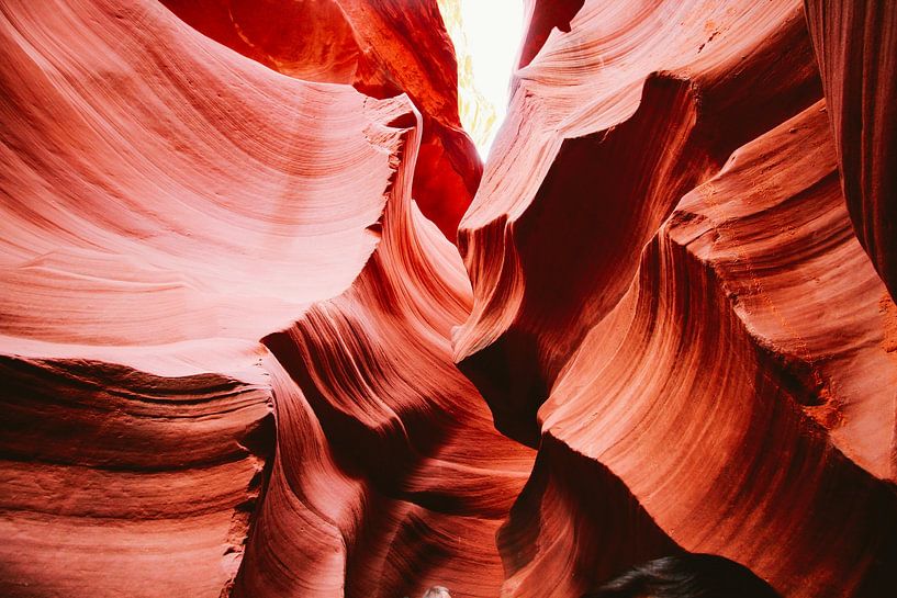 Grand Canyon by Hello Pompoyo