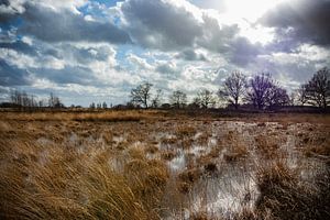 Sonntagsspaziergang