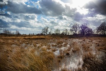 Sunday walk van Johan Mooibroek