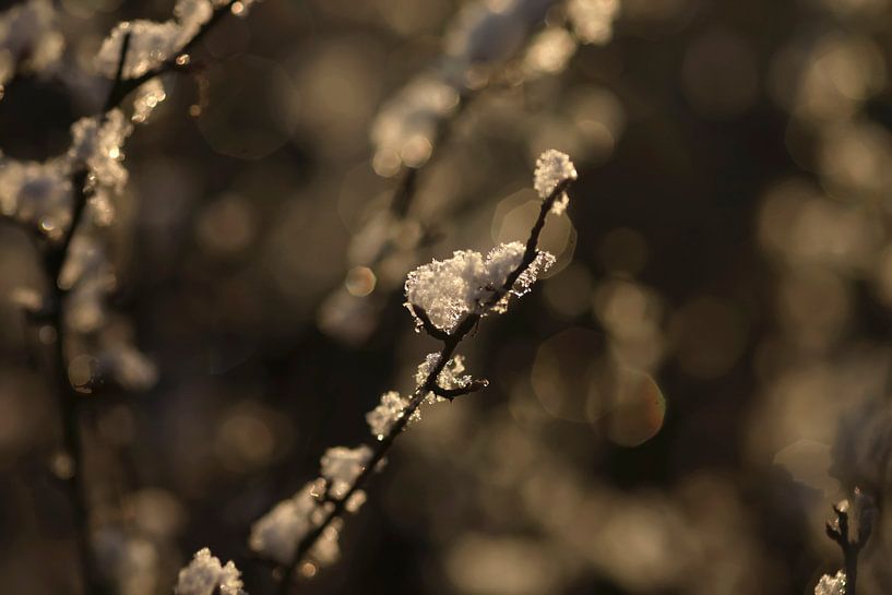 Wintertime by Thomas Jäger