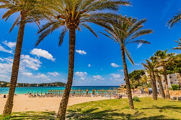 Strand met palmbomen op het eiland Mallorca, Spanje van Alex Winter