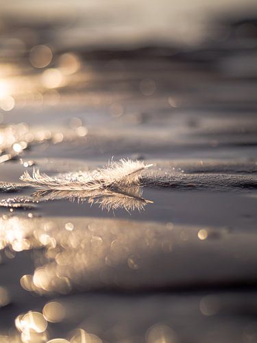 It's the little things