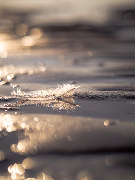 It's the little things by Angela Kraan
