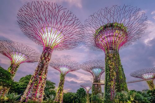 Gardens by the Bay