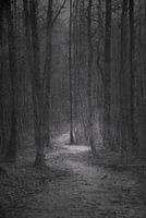 Road to nowhere