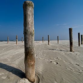 Palen op het strand van Theo Felten